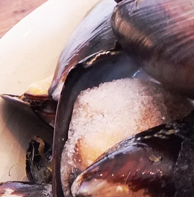 Creamy Mussel Soup Recipe